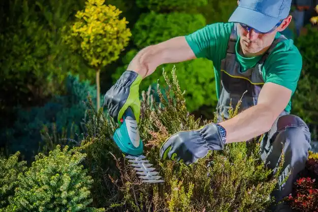 landscaping services Hurley